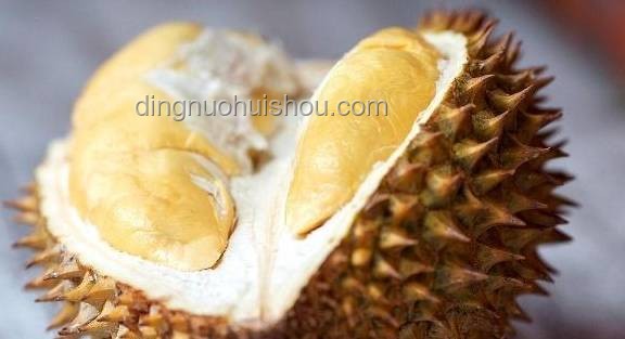 天价垃圾变废为宝指南：榴莲虫、发霉盐等别再扔！